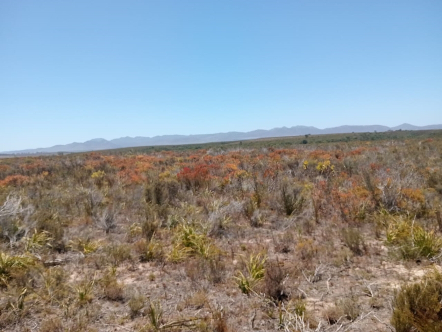 Commercial Property for Sale in Humansdorp Rural Eastern Cape